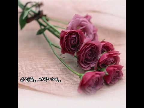 유심초 사랑이여 가사첨부