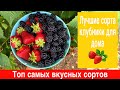 Топ самых вкусных сортов клубники