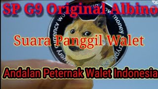 Suara Panggil Walet G9 Original Albino. Link cek deskripsi video