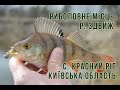 Рибалка на річці Здвиж - огляд місця для рибалки біля с. Красний Ріг Київської Області
