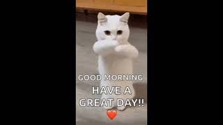 Share It With Your Friends #memes #fun #funny #sharewithfriends #wow #laugher screenshot 4