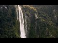 Tumhari Nazron mein humne dekha || #Nature #evergreen hits #love || Nature's love💓❣️🌻