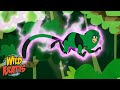 Parrot Power Adventure Quiz