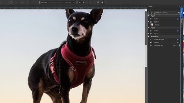 Bitmap Effects on Lens | CorelDRAW for Windows
