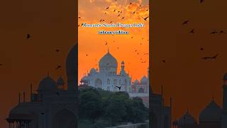 February love trails: Romantic escapes in India 💕✨ Travel with Travomint✈️ #travel #travelshorts