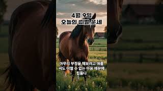 4월 9일 오늘의 띠별 운세_말띠 #shorts