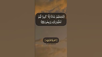 سورة الأنبياء الآية ٥٧ الى ٦١ بصوت الشيخ محمد صديق المنشاوي