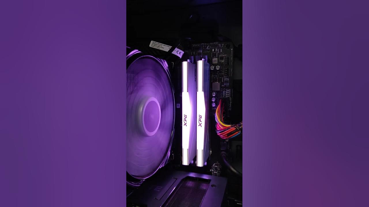 Xpg spectrix d50 white. Xpg spectrix d50. Xpg spectrix d50 rgb. оперативная память adata xpg spectrix d50 rgb. Xpg spectrix d50 rgb.