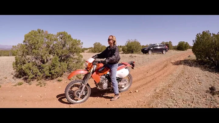Ron Whitmore: Born To Ride