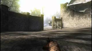 COD2 Chile | Boyka SICK4DOWN