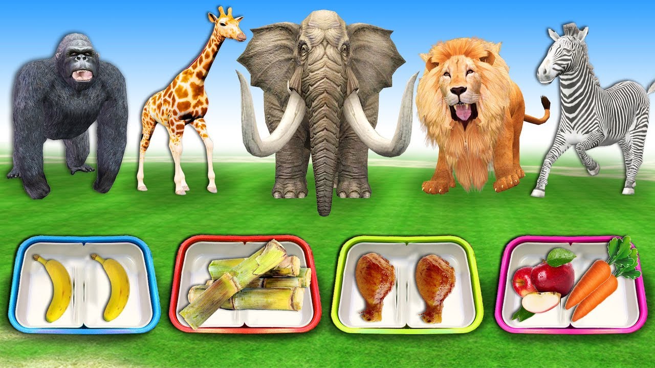 Kids box wild animals. Дэдди фингер животные. Farm animal finger Family. My Box животные. Wild animals finger Family Nursery Rhymes.