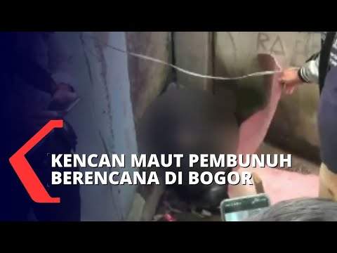 Video: Penemuan Maya Tidak Diklasifikasikan: Pihak Berwenang Mengkonfirmasi Kebenaran - Pandangan Alternatif