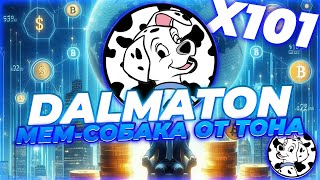 : !     ! DALMATON!  ˨ 101X   !  TON!