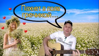 Video thumbnail of "Песня "Пахнет в поле гречихой несжатой" под гитару"