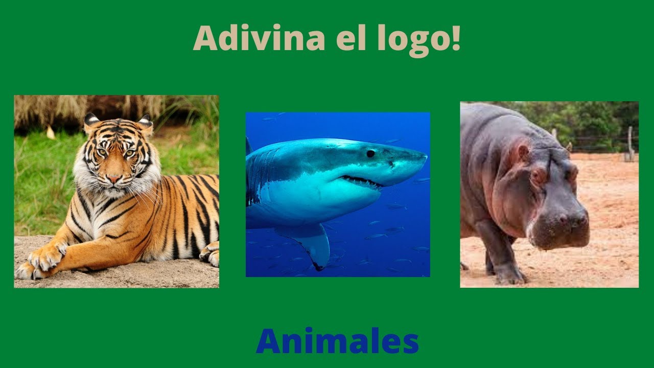 Adivina el logo! - Respuestas Animales (Fácil) | Piso 3 | Roblox - YouTube