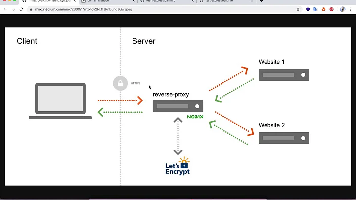 Dynamic host multiple websites on the same server and port with Docker and Nginx