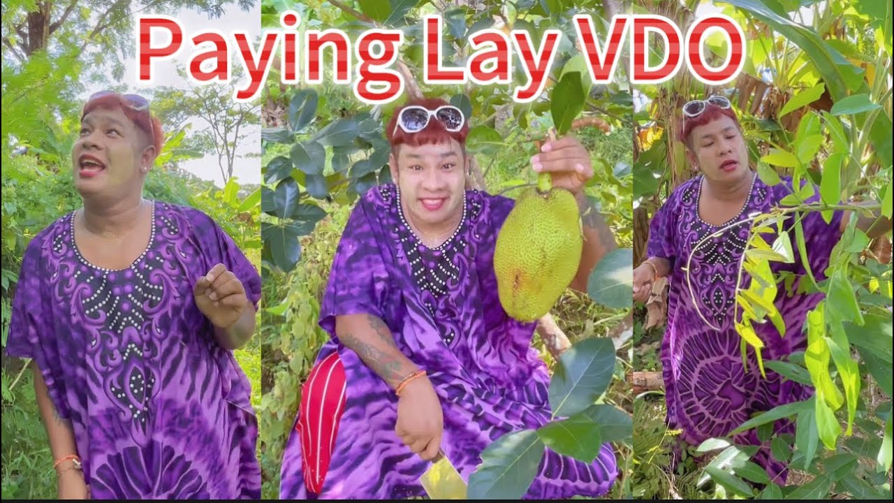 ကြည့်ရှု့သူတို့ကျိုက်တဲ့ဥယဉ်ခြံထဲက သဘာဝ🍎