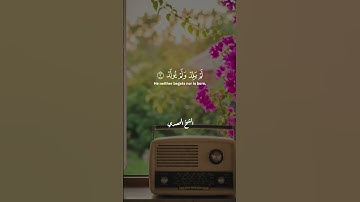 أروع ما قرأ الشيخ الحصري | سورة الإخلاص تهز القلو