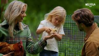 The best choice for chickens and families