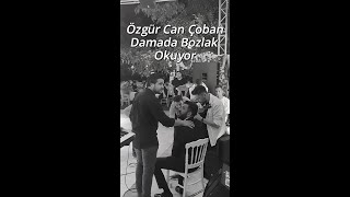 Özgür Can Çoban Düğünde Damada Bozlak Okuyor Şetertaş