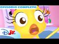 Strano ovetto di Cucù Loca, Lo 🪺 Un Minnie Toons | Episodio Completo | Cartoni Animati
