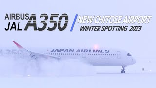 【4K】JAL A350 冬の新千歳空港 2023 BGV Ver.