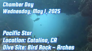 Scuba Dive: Wed, May 1, 2024 - Chamber Day Dive at Bird Rock - Arches, Catalina, CA