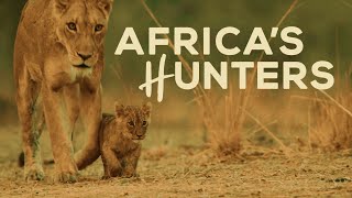 🦁 Africa's Hunters: A Leopard's Last Stand | Wildlife Documentary 🐆🌱🦒