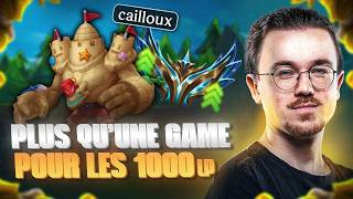 JE SORS LE MALPHITE POUR LES 1000 LP !