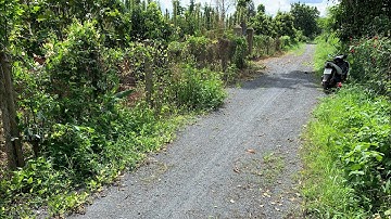 🌳 Bán Đất Nhà Vườn 1.700m2 ( 1 Sào 7 ) Giá 1,2 Tỷ - Ấp 10 Xã Xuân Tây , Cẩm Mỹ , Đồng Nai