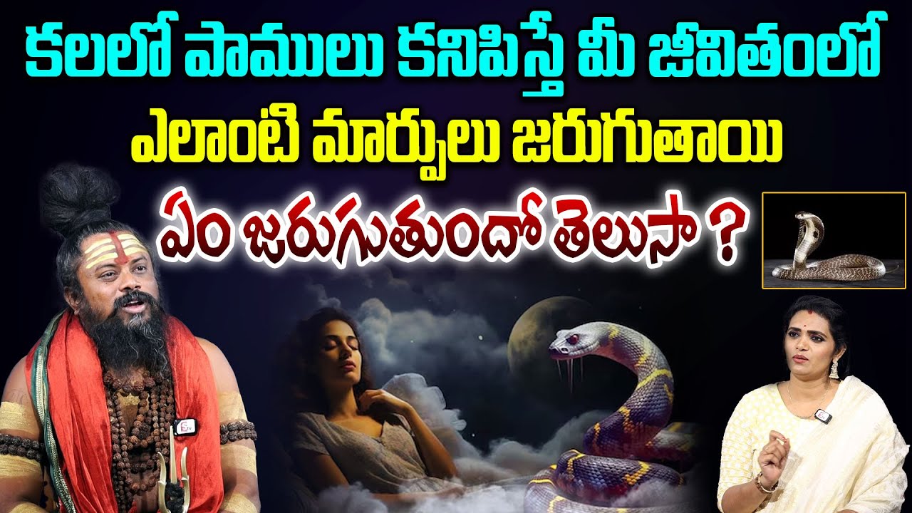 కలలో పాము ఇలా కనిపిస్తే ఖచ్చితంగా రాజయోగం పడుతుంది | Snake In Dreams | SHIVARUDRA SADHU