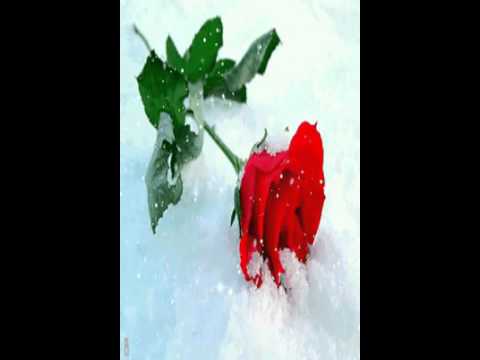 Παρακολούθηση 김돈규    슬픈 인연 r&b version kpop 韓國歌謠 στο YouTube