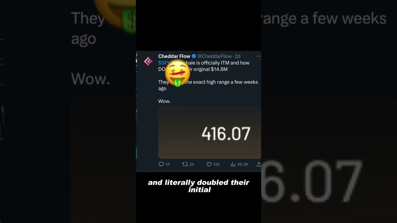 $14.8M SPY whale doubled their return
