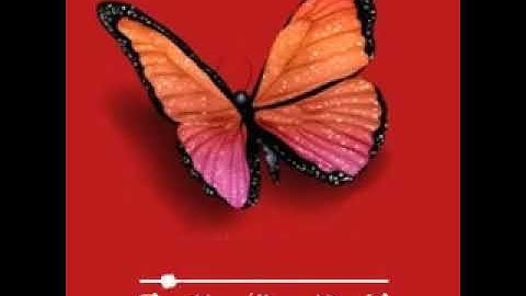 (فقلت استغفروا ربكم إنه كان غفارا)#فارس عباد#سورة نوح