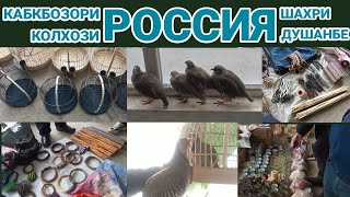 Кабкбозори колхози Россия шаҳри Душанбе 31.12.2023