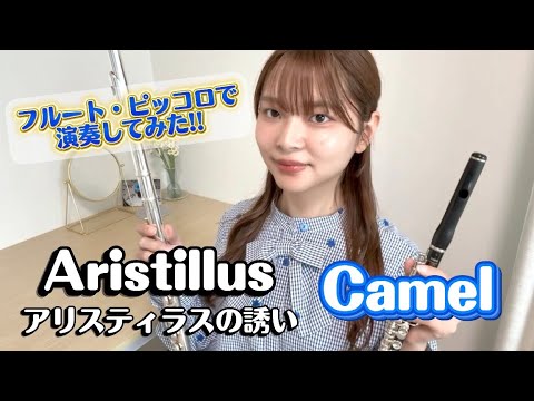 Camel『Aristillus』｜Moonmadnessより【Flute /Piccolo Cover】