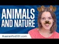 Learn Russian in 15 Minutes - Talk about Animals and Nature