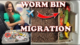 Compost Anywhere With A Tiny Worm Bin & 1000 Red Wigglers | Vermicompost Worm Farm