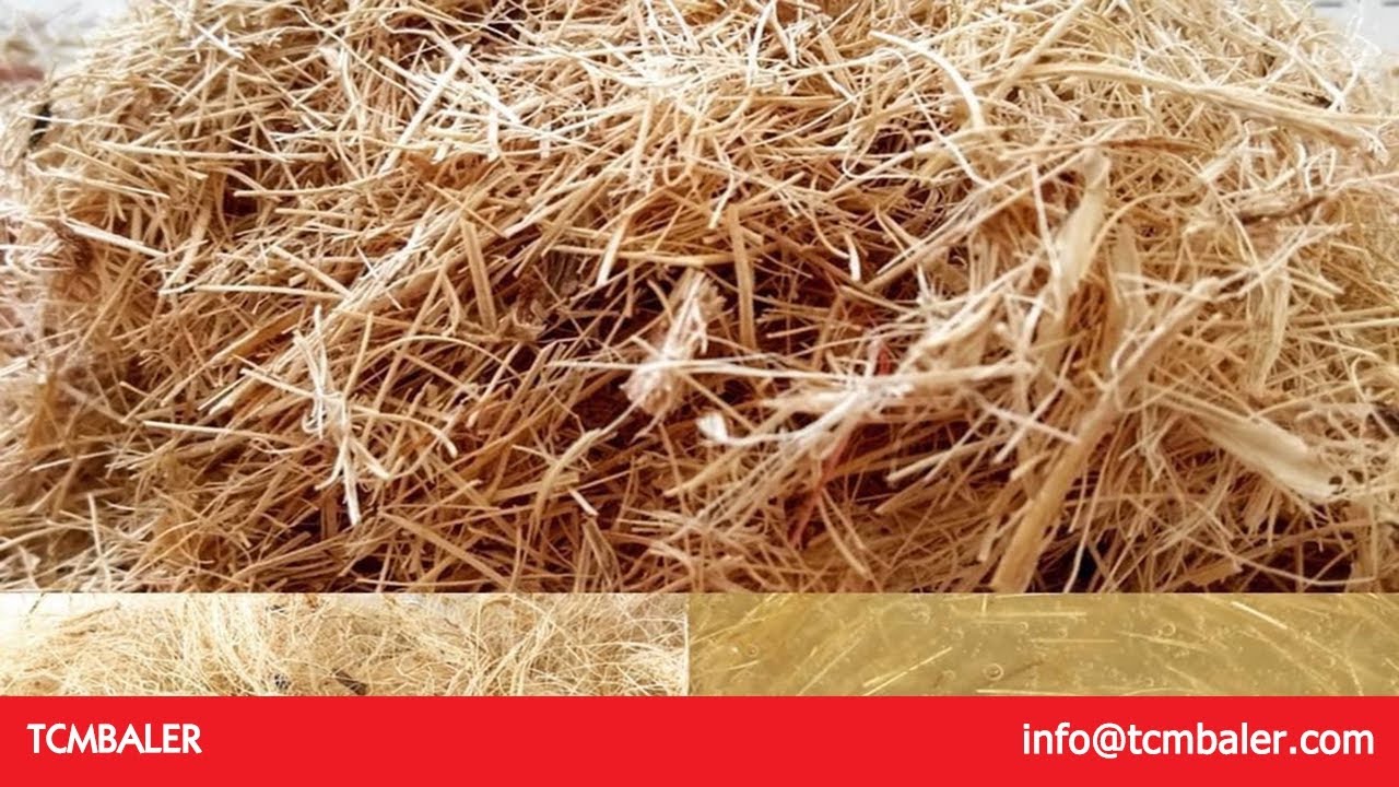 bagging whole cotton seed