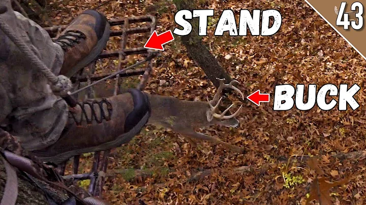 BIG BUCK at 3 YARDS!!! - (LATE Rut Bowhunting on Public Land)