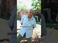 Uso del enraizador de bambú