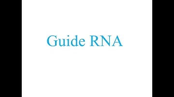 Guide RNA (RNA Editing)
