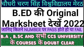 B.Ed original marksheet #ccsu #orientmathwithadarsh #bed_original_marksheet