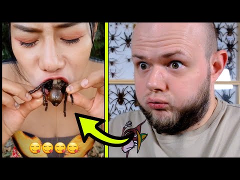 Wideo: Czy pająk to robak?