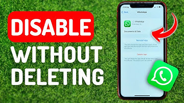 How to Disable Whatsapp Without Deleting It on iPhone