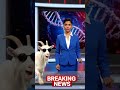 LIVE News Interrupted by a Talking Goat 😂🐐