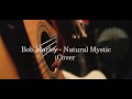 Bob marley natural mystic acoustic cover odenk thekill