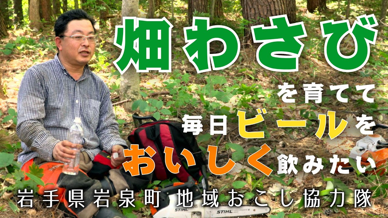 畑わさびを育てて夢を叶えたい【地域おこし協力隊インタビュー】岩手県 岩泉町 vol.1