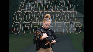 KCSO Highlight Series: Animal Control