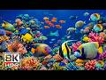 Heaven Ocean 8K 🐠 Tropical Ocean Life & Reef Fish with Peaceful Sleep Ambience